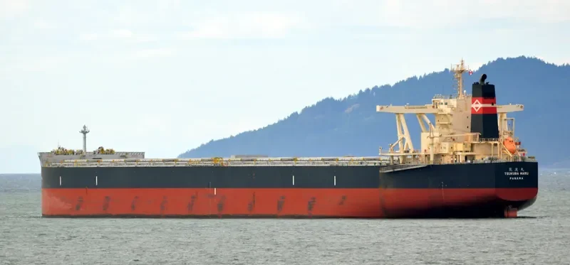 TSUKUBA MARU Bulk Carrier IMO 9524035 photo 5