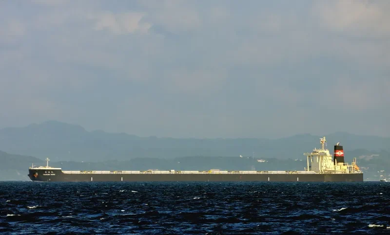 TSUKUBA MARU Bulk Carrier IMO 9524035 photo 7