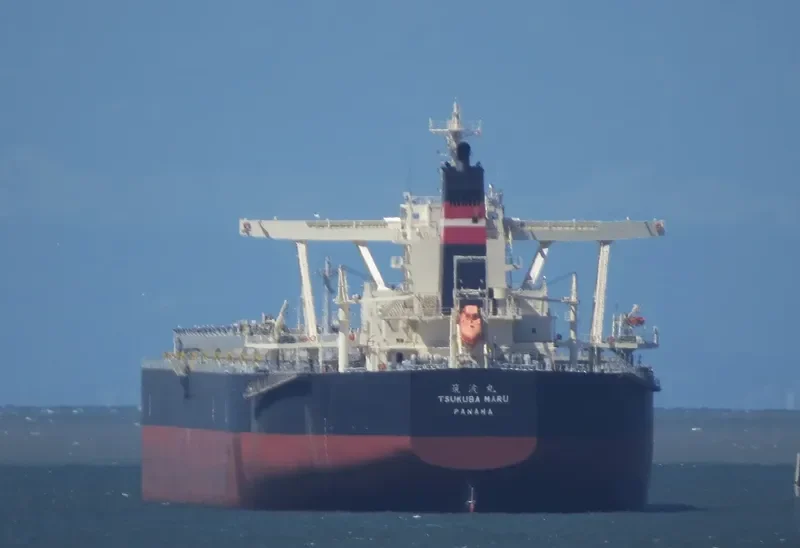 TSUKUBA MARU Bulk Carrier IMO 9524035 photo 9