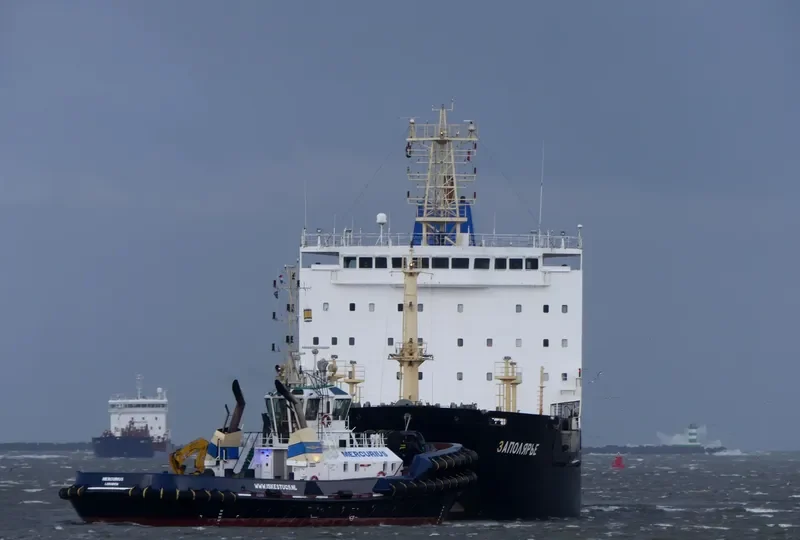 ZAPOLYARYE Bulk Carrier IMO 9524205 photo 2