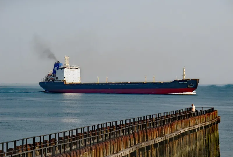 ZAPOLYARYE Bulk Carrier IMO 9524205 photo 5