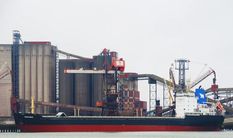 ZAPOLYARYE Bulk Carrier IMO 9524205 photo 6