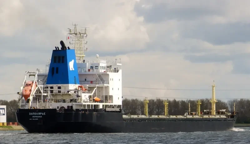 ZAPOLYARYE Bulk Carrier IMO 9524205 photo 7