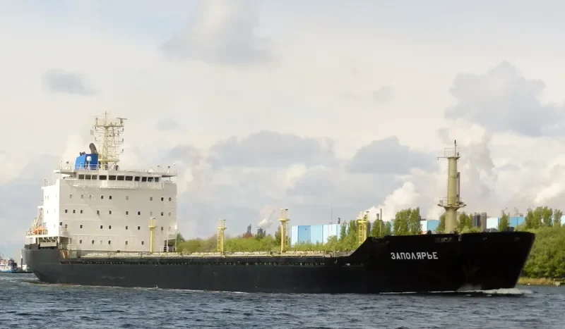 ZAPOLYARYE Bulk Carrier IMO 9524205 photo 8