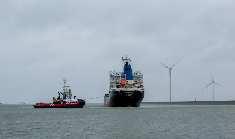 ZAPOLYARYE Bulk Carrier IMO 9524205 photo 10