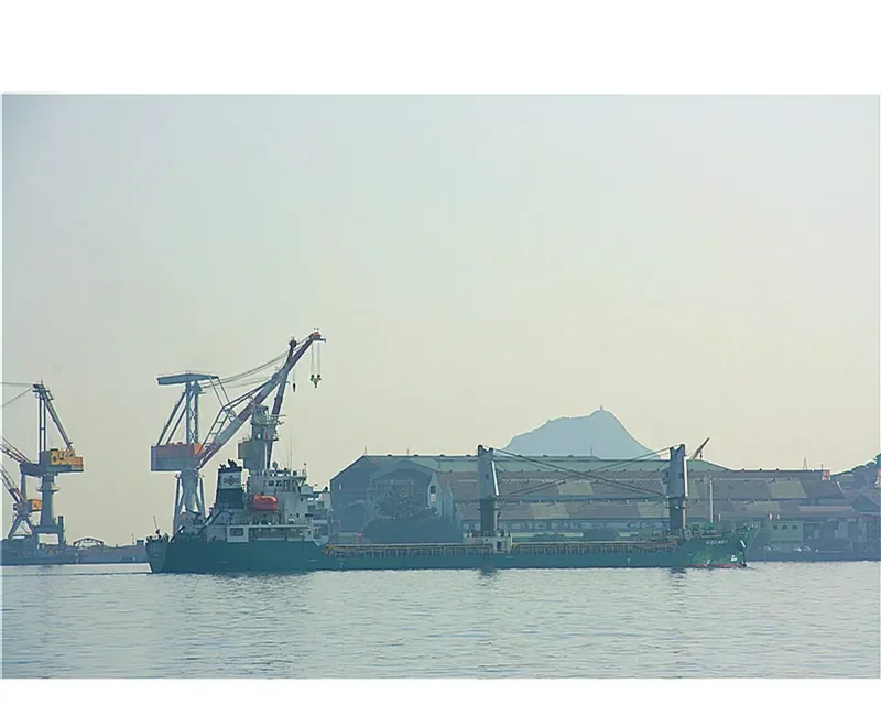 WAKABA General Cargo IMO 9524229 photo 9