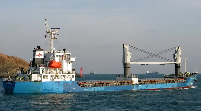 WAKABA General Cargo IMO 9524229 photo 10