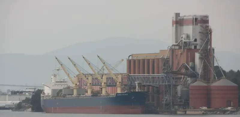 PARO Bulk Carrier IMO 9524542 photo 2