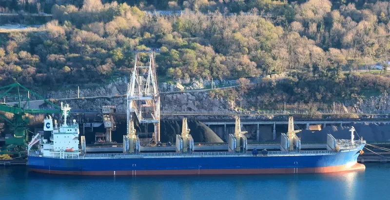PARO Bulk Carrier IMO 9524542 photo 3