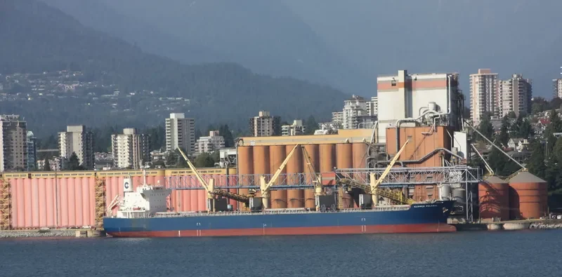 PARO Bulk Carrier IMO 9524542 photo 5