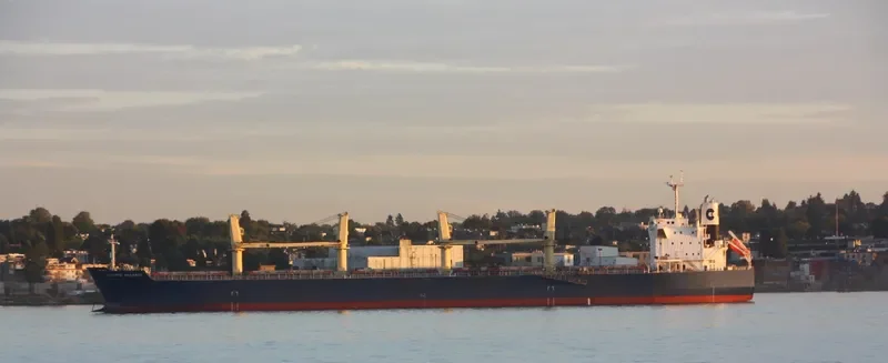 PARO Bulk Carrier IMO 9524542 photo 6