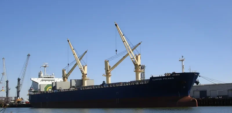 PARO Bulk Carrier IMO 9524542 photo 7