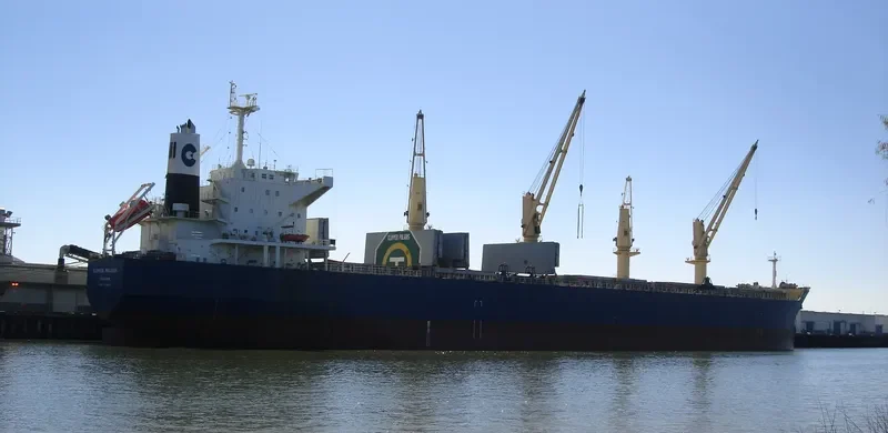 PARO Bulk Carrier IMO 9524542 photo 8