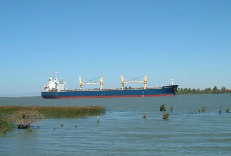 PARO Bulk Carrier IMO 9524542 photo 9