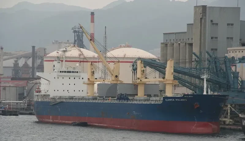 PARO Bulk Carrier IMO 9524542 photo 10
