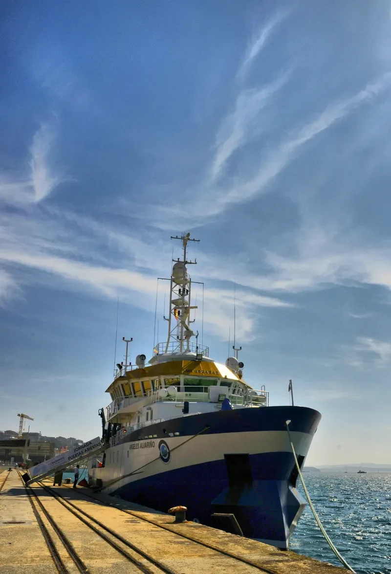 ANGELES ALVARINO General Cargo IMO 9524645 photo 10