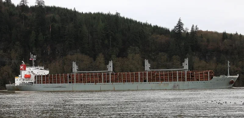 FULVIA Bulk Carrier IMO 9524669