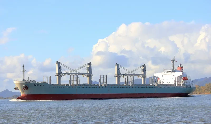 FULVIA Bulk Carrier IMO 9524669 photo 4