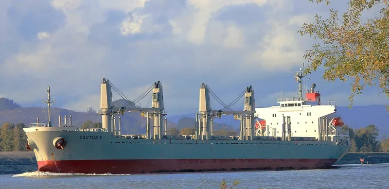 FULVIA Bulk Carrier IMO 9524669 photo 5