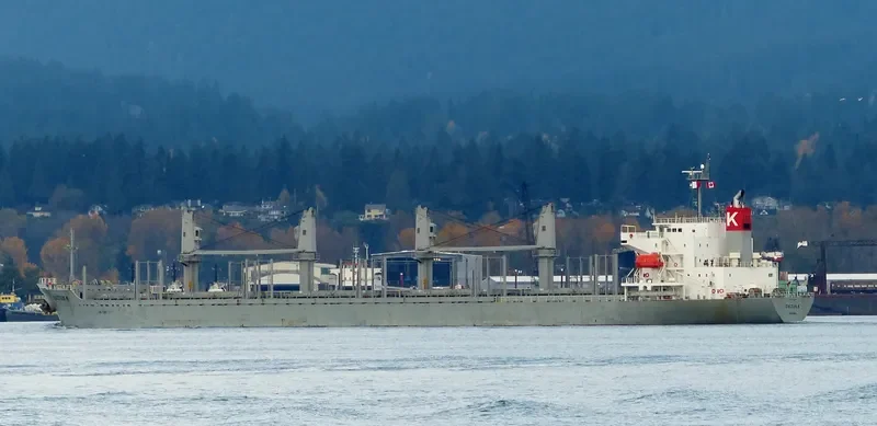FULVIA Bulk Carrier IMO 9524669 photo 8
