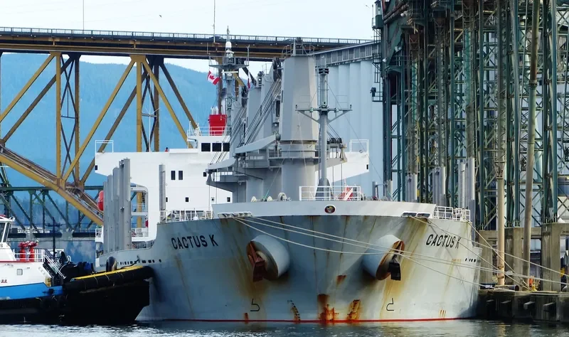 FULVIA Bulk Carrier IMO 9524669 photo 9