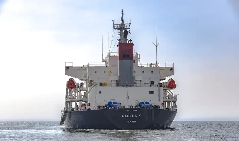 FULVIA Bulk Carrier IMO 9524669 photo 10