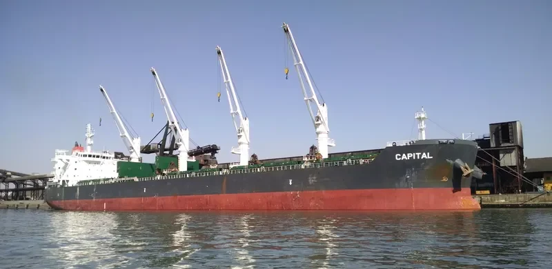 ILENAO Bulk Carrier IMO 9524683