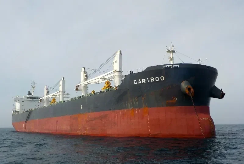 CARIBOO Bulk Carrier IMO 9524695 photo 3