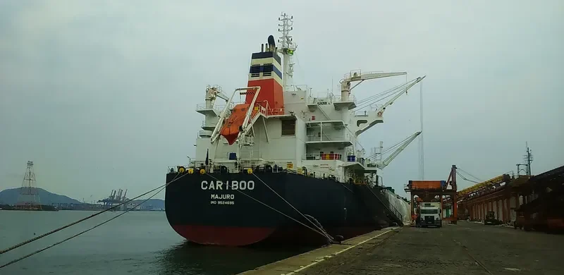 CARIBOO Bulk Carrier IMO 9524695 photo 5