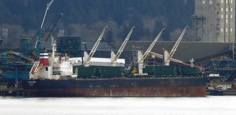 CARIBOO Bulk Carrier IMO 9524695 photo 9