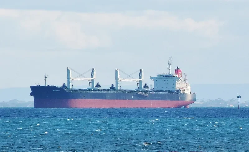 YASA CANARY Bulk Carrier IMO 9524700 photo 6