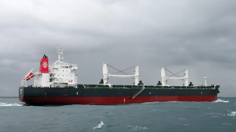 YASA CANARY Bulk Carrier IMO 9524700 photo 7