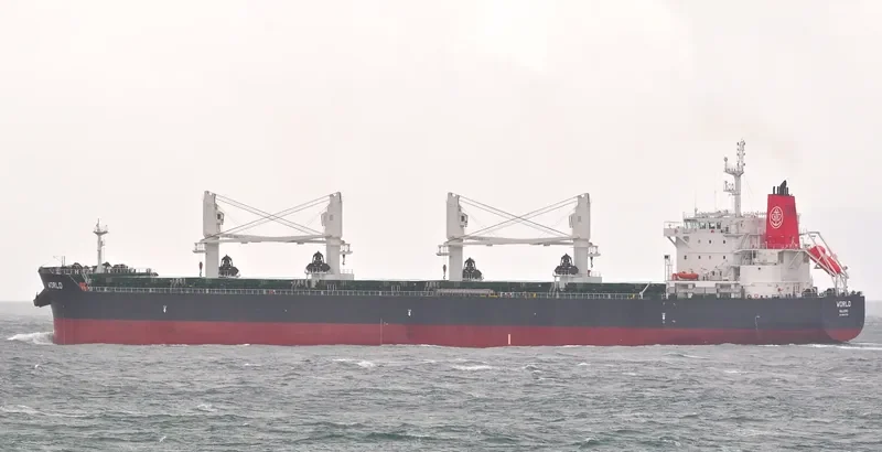 YASA CANARY Bulk Carrier IMO 9524700 photo 9