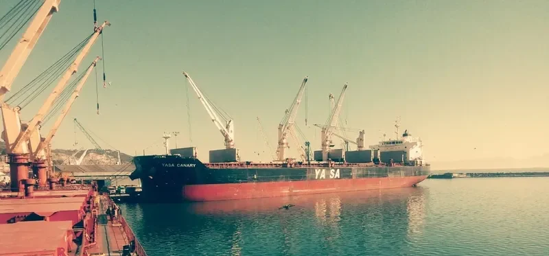 YASA CANARY Bulk Carrier IMO 9524700 photo 10