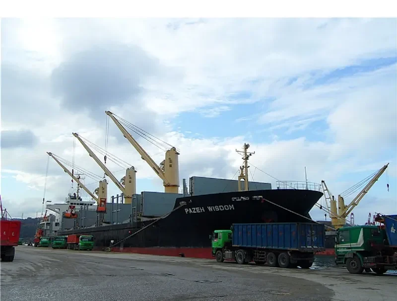 PAZEH WISDOM Bulk Carrier IMO 9524803 photo 6