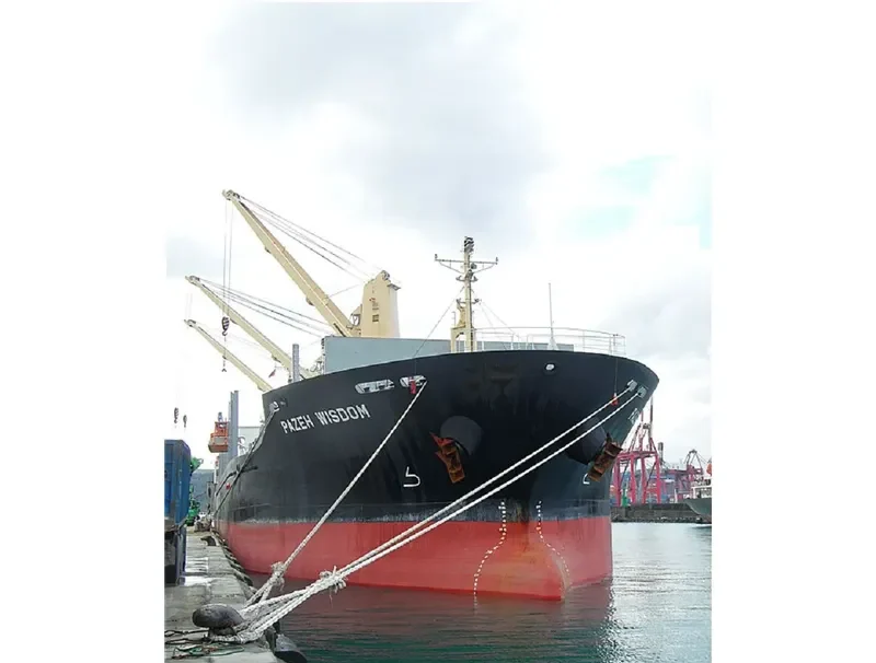 PAZEH WISDOM Bulk Carrier IMO 9524803 photo 7
