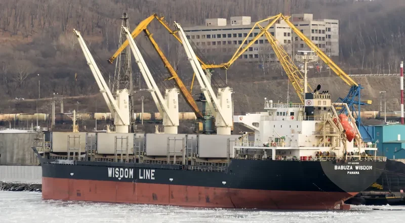 BABUZA WISDOM Bulk Carrier IMO 9524815