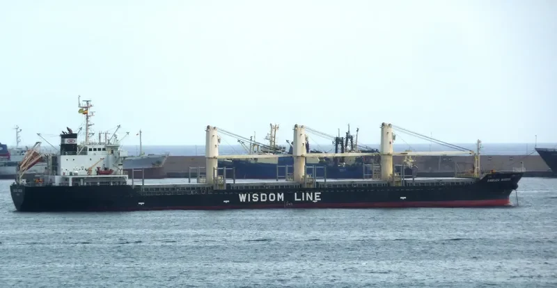 BABUZA WISDOM Bulk Carrier IMO 9524815 photo 5