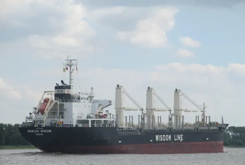BABUZA WISDOM Bulk Carrier IMO 9524815 photo 6