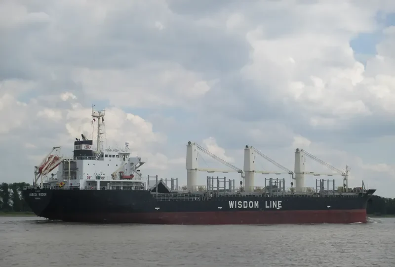 BABUZA WISDOM Bulk Carrier IMO 9524815 photo 7