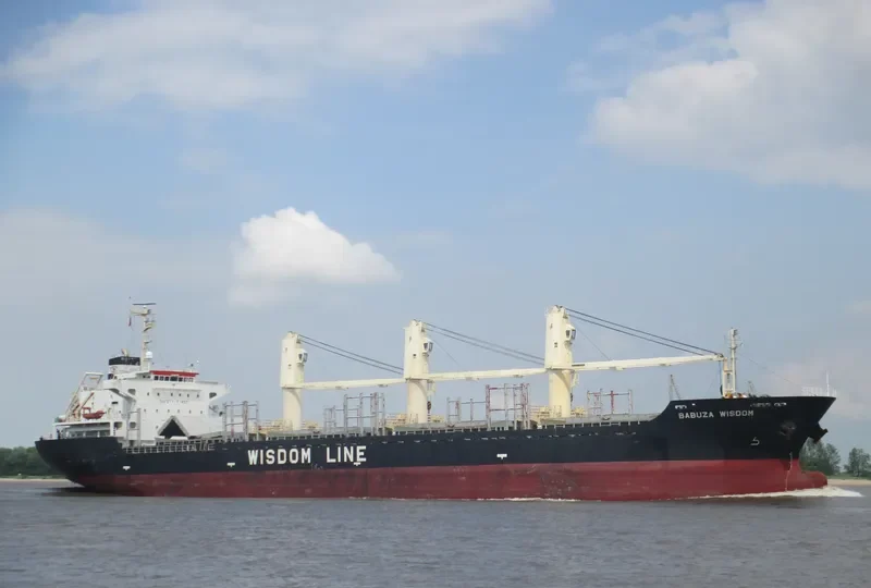 BABUZA WISDOM Bulk Carrier IMO 9524815 photo 8