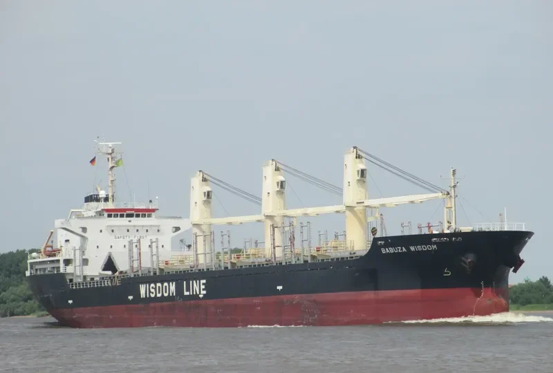 BABUZA WISDOM Bulk Carrier IMO 9524815 photo 9