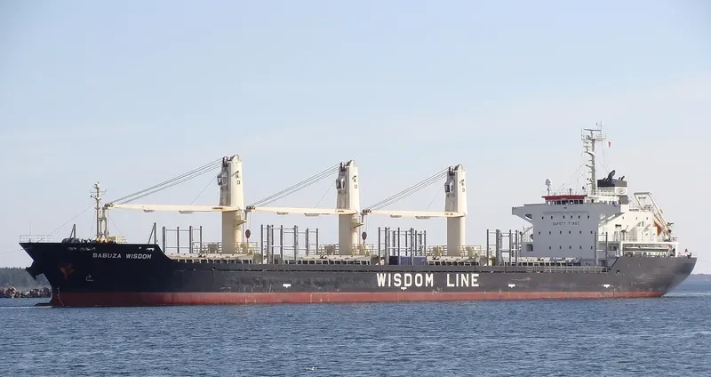 BABUZA WISDOM Bulk Carrier IMO 9524815 photo 10