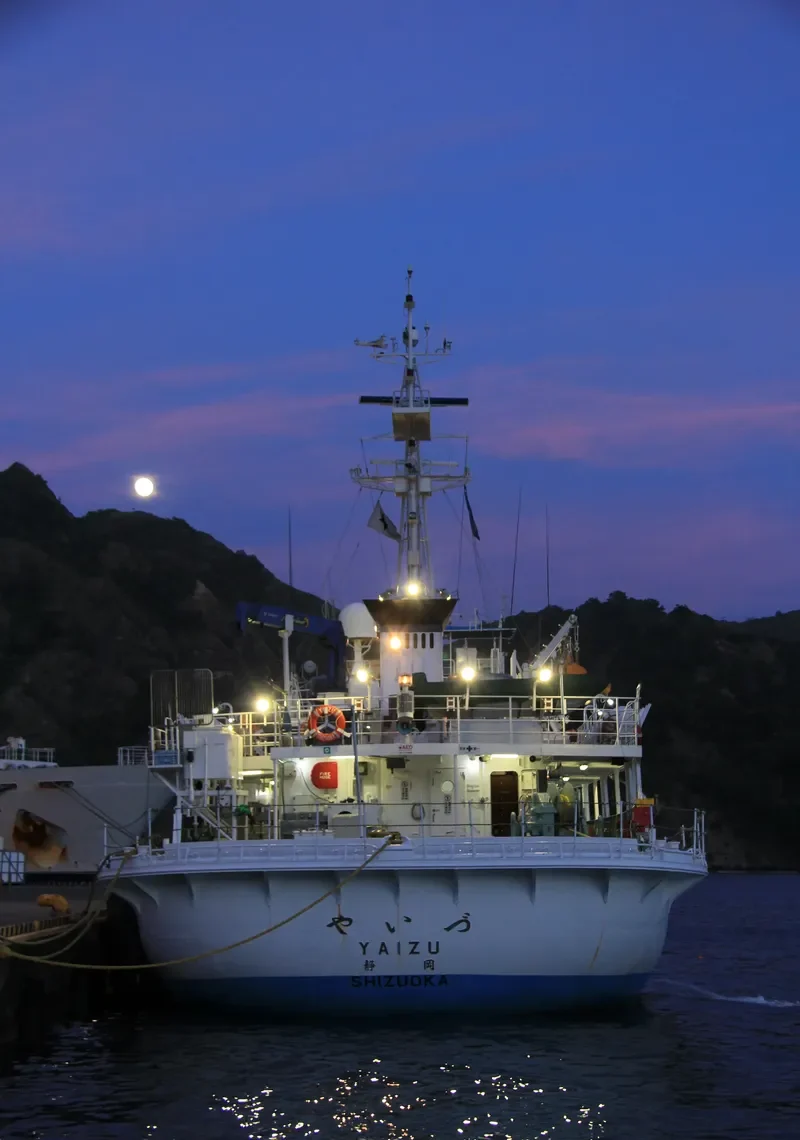 YAIZU General Cargo IMO 9524877 photo 10