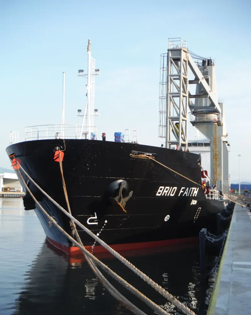 BRIO FAITH General Cargo IMO 9525429 photo 8