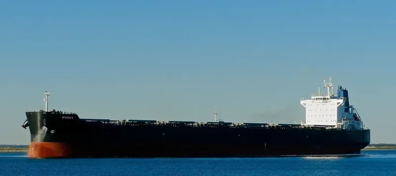 MYNIKA Bulk Carrier IMO 9525613 photo 8
