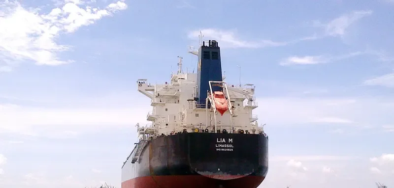LIA M Bulk Carrier IMO 9525625 photo 5