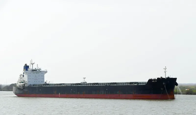 LIA M Bulk Carrier IMO 9525625 photo 6