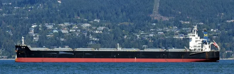LIA M Bulk Carrier IMO 9525625 photo 9