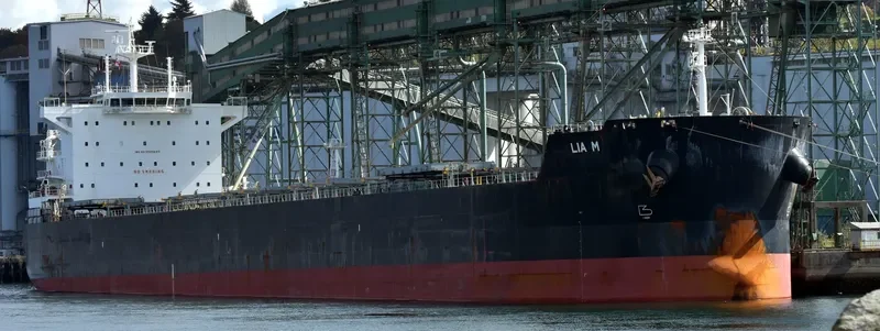 LIA M Bulk Carrier IMO 9525625 photo 10